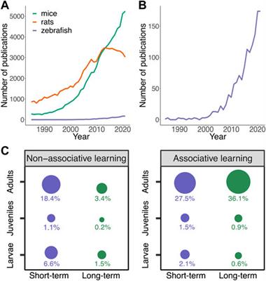 Learning and memory formation in zebrafish: Protein dynamics and molecular tools